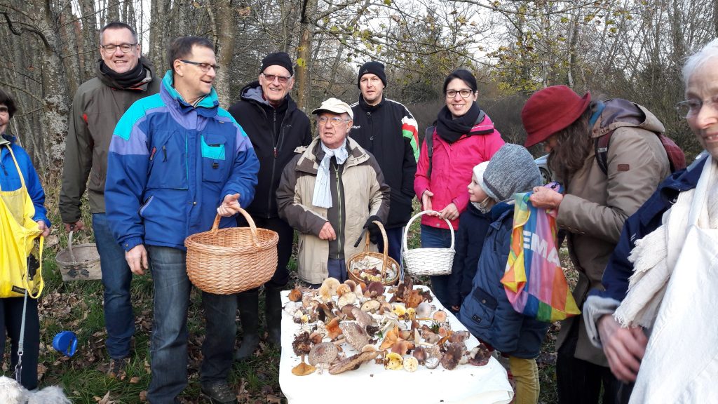 Champignons