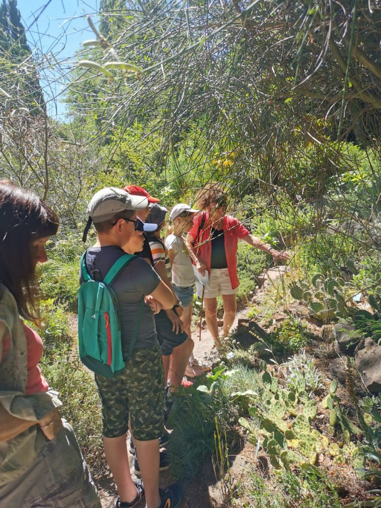 Botanistes en herbe.