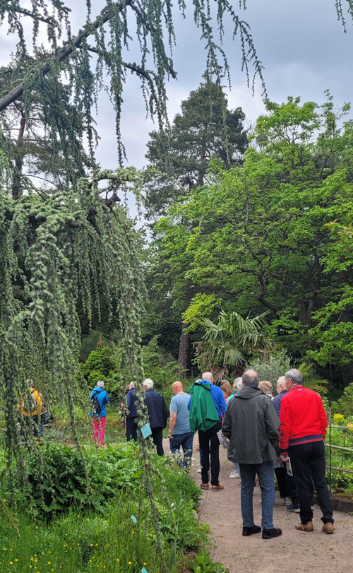 Promenade vespérale le 11 et 18 juin 19h30.